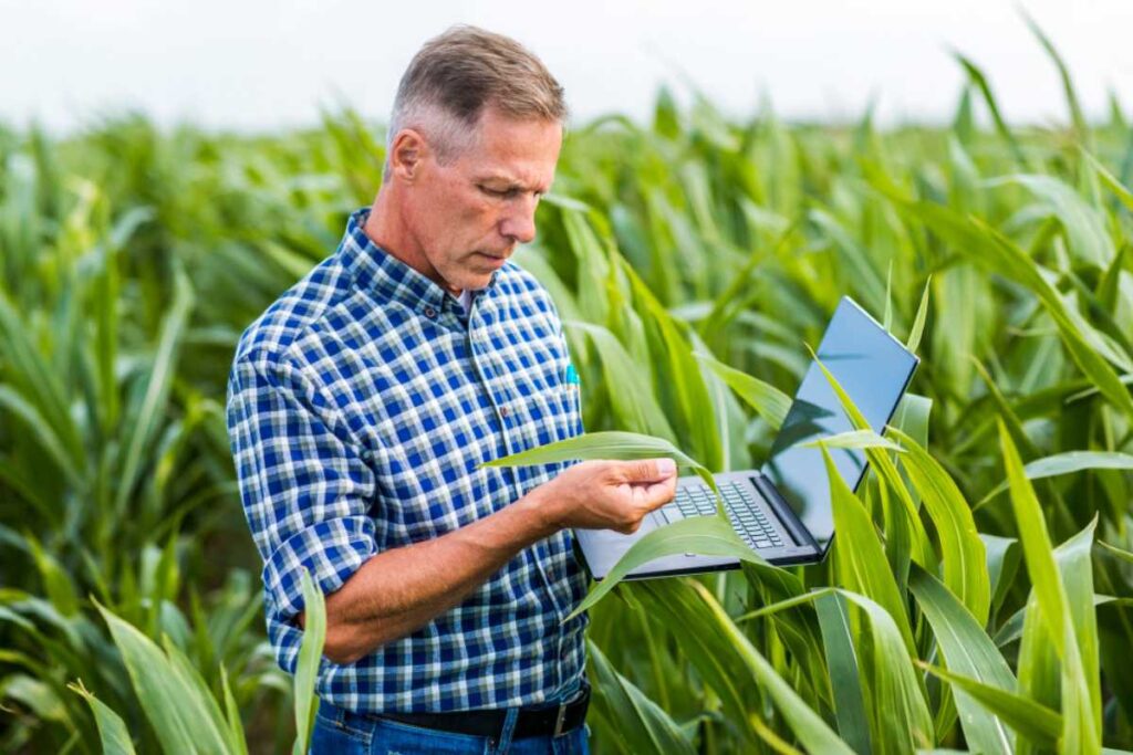O impacto da tecnologia no campo: do plantio à colheita e gestão